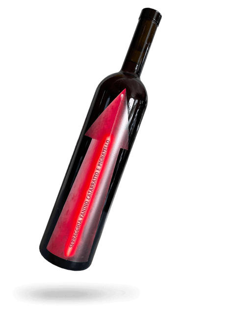 Giotto & Gabrio Bini - Buy natural wine online | Drops