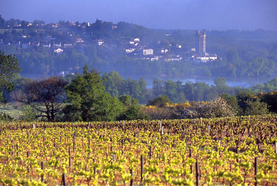 Wine region Loire