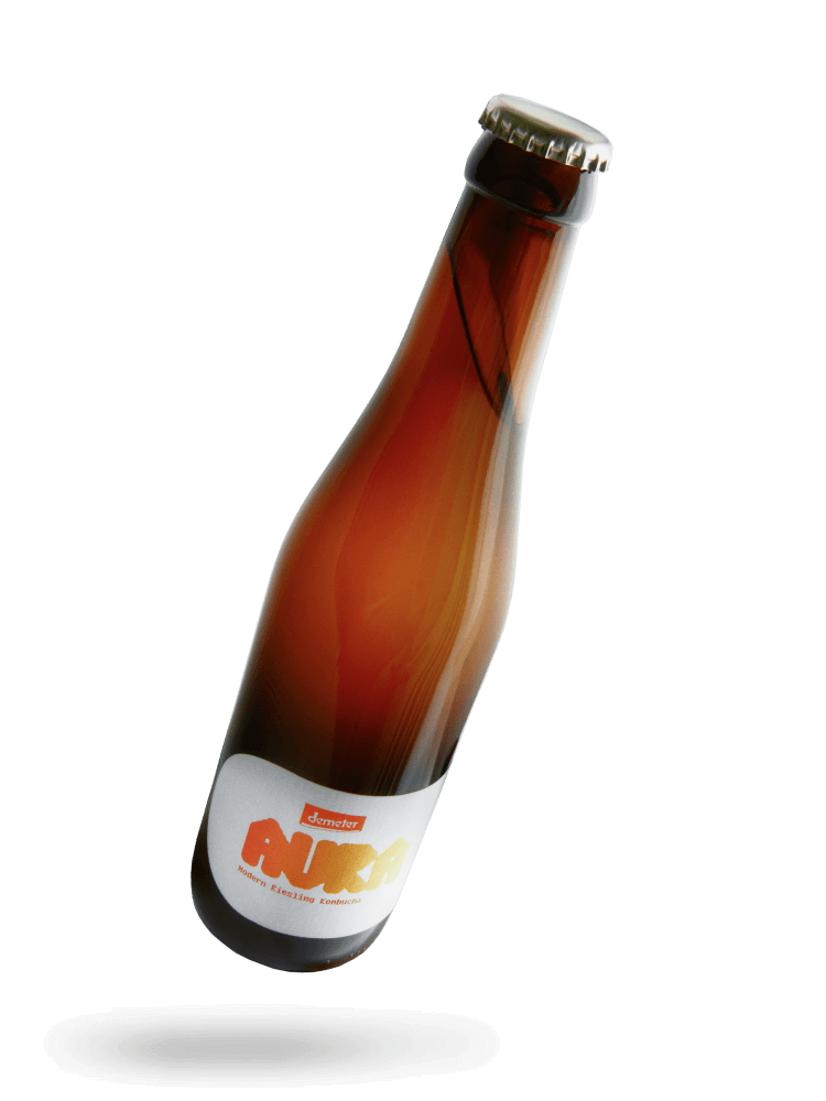 AURA Riesling Kombucha von Schätzel