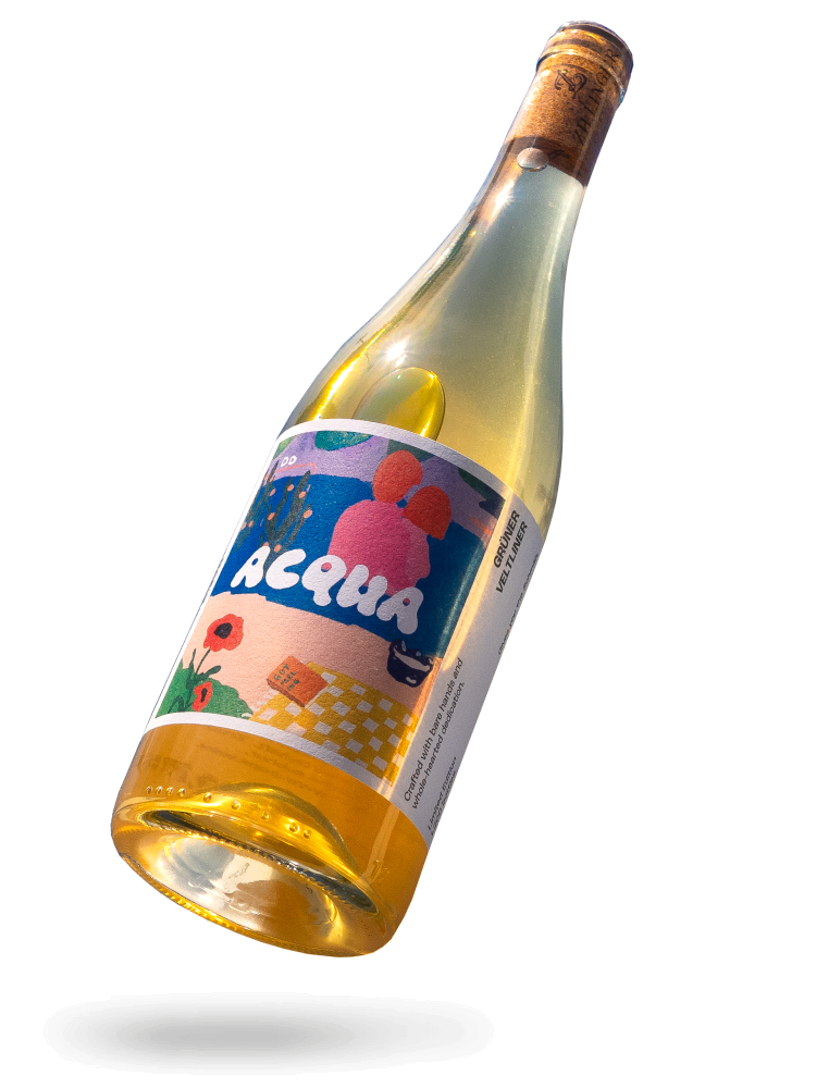 Acqua 2022 Naturwein von Domaine Disco