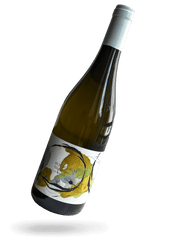 Les Peteurs Aligote 2023 Naturwein von Domaine Didon