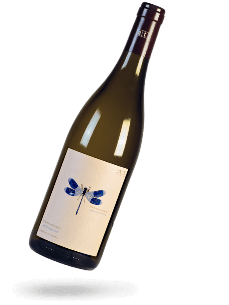 BLAUE LIBELLE 2022, natural wine - Andreas Tscheppe | Drops