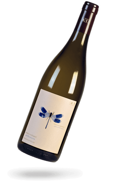 ワイン Grune Libelle 2022 / Andoreas Tscheppe Andreas Tscheppe | Grüne Libelle Plus 2021 | MORE Natural Wine