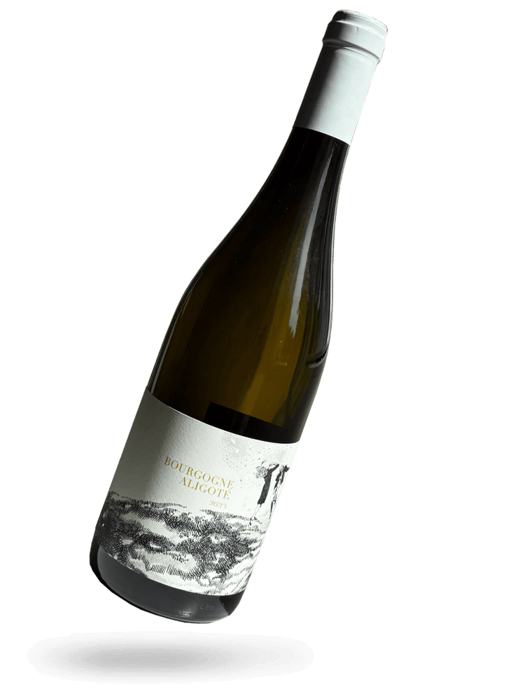Bourgogne Aligote 2023 Naturwein von Domaine Didon