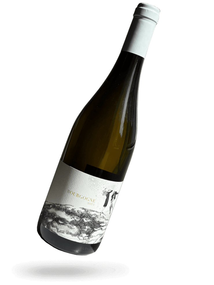Bourgogne Chardonnay 2023 Naturwein von Domaine Didon