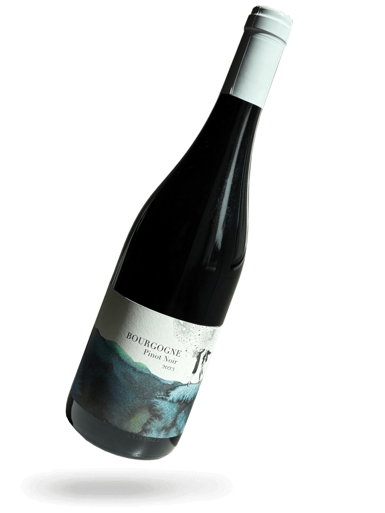 Bourgogne Pinot Noir 2023 Naturwein von Domaine Didon