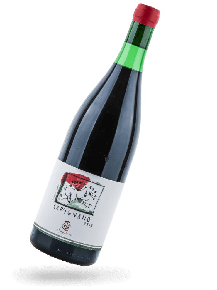 Carignano 2018 Naturwein von Ampeleia