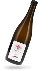 Cidre Pet Nat Apfelperlwein 2023 Apfelwein von Odinstal