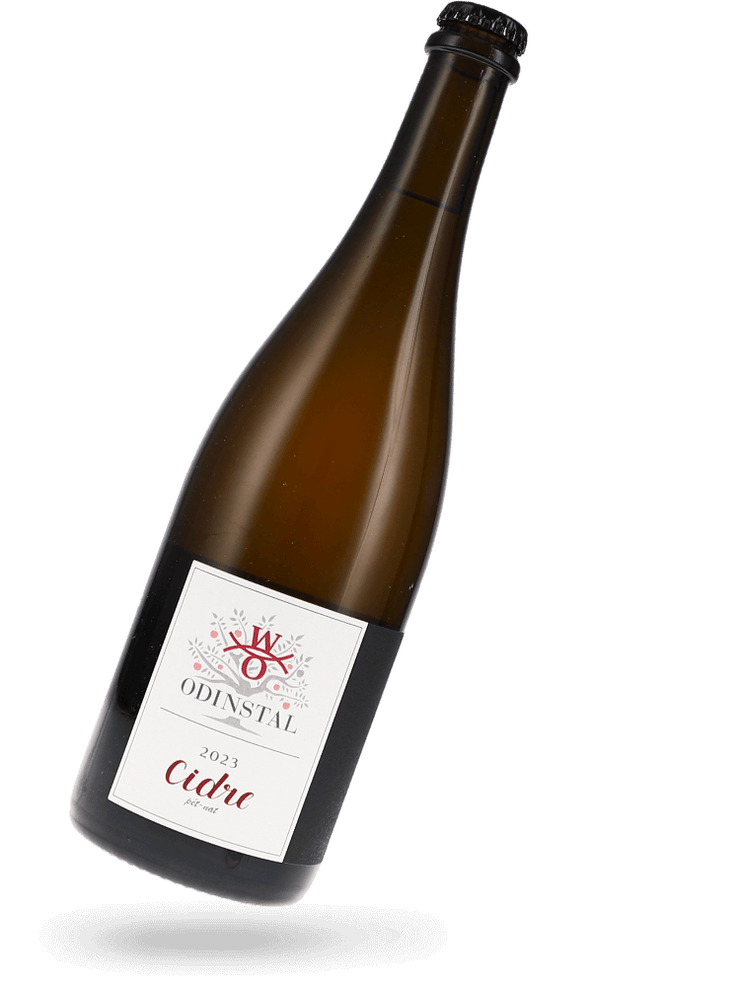 Cidre Pet Nat Apfelperlwein 2023 Apfelwein von Odinstal