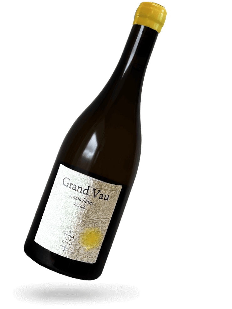 Grand Vau 2022 Naturwein von Terra Vita Vinum