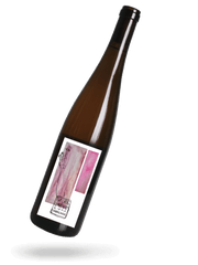 Grauburgunder 2023 Naturwein von Georg Lingenfelder
