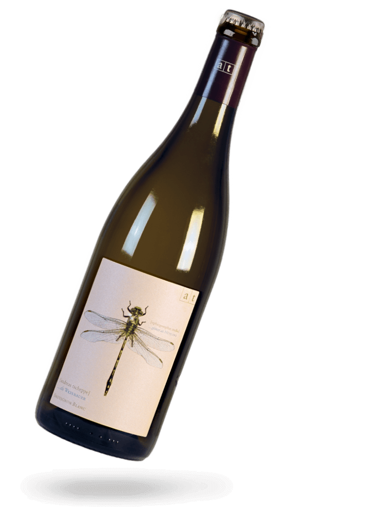 GRÜNE LIBELLE PLUS 2022, natural wine - Andreas Tscheppe | Drops