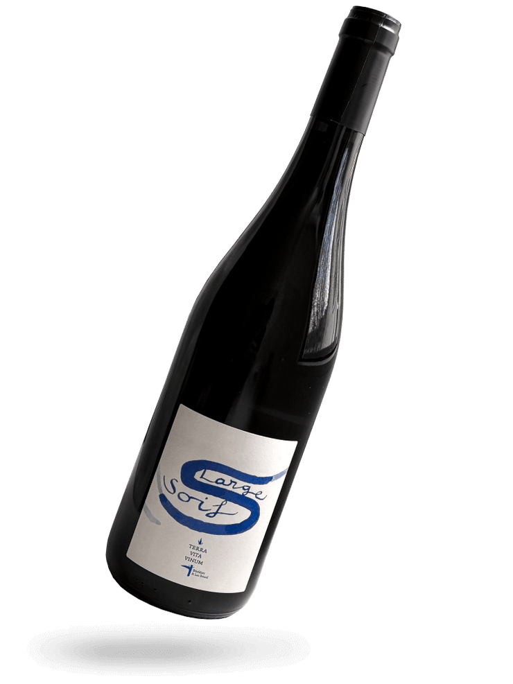Large Soif Blanc 2023 Naturwein von Terra Vita Vinum