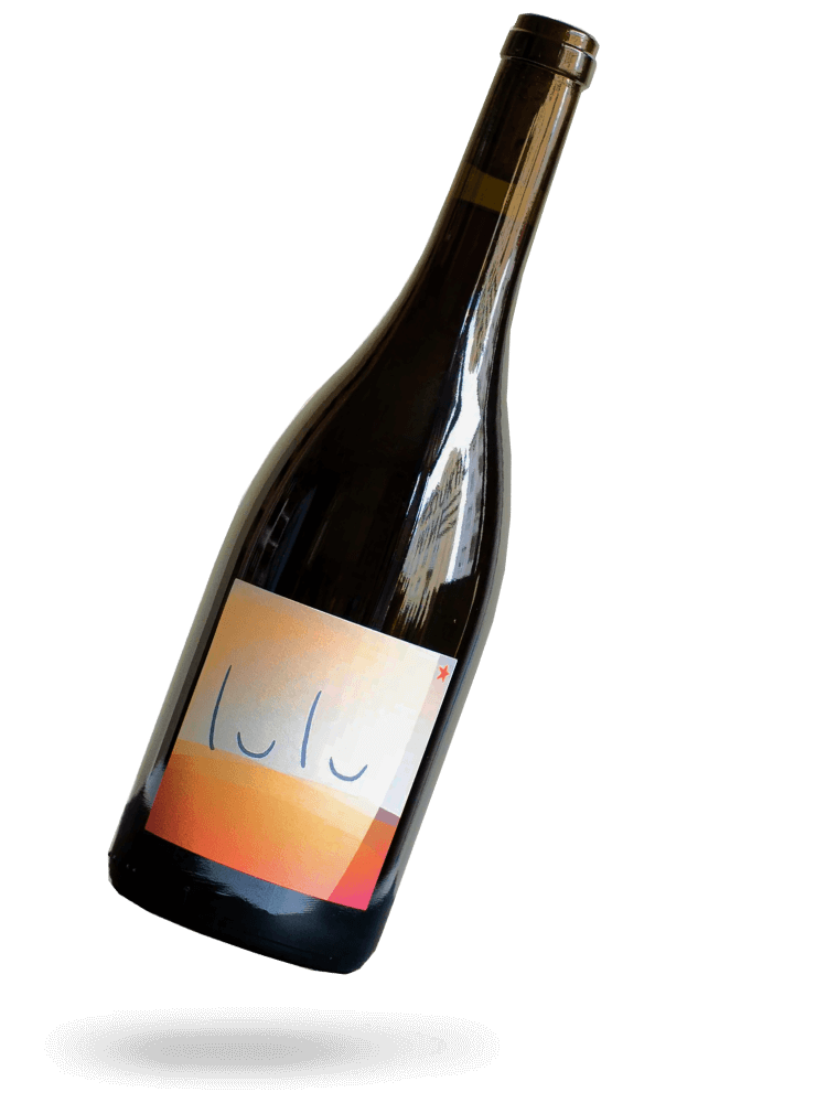Patrick Bouju Lulu 2022 2本セット　同ビンテージ LULU 2022, natural wine - Justine & Patrick Bouju | Drops