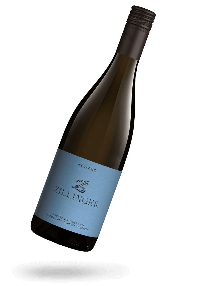 ワイルド ノルアドレナリン NEULAND Grüner Veltliner 2024, natural wine - Herbert Zillinger