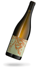 Orange 2023 Naturwein von Carrousel de Tete