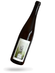 Riesling 2023 Naturwein von Georg Lingenfelder