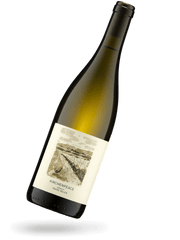 Riesling Kirchenpeace 2024 Naturwein von Marie Adler