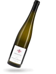 Riesling Monopol Großes Gewächs 2022 Naturwein von Odinstal