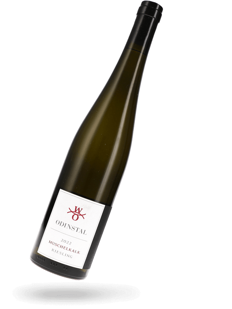 Riesling Muschelkalk 2022 Naturwein von Odinstal
