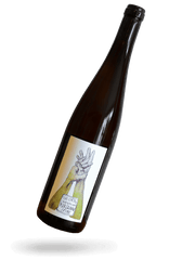 Riesling Stube 2023 Naturwein von Georg Lingenfelder