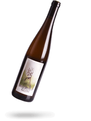 Riesling 2022 Naturwein von Georg Lingenfelder