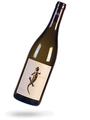 Salamander 2022 Naturwein von Andreas Tscheppe