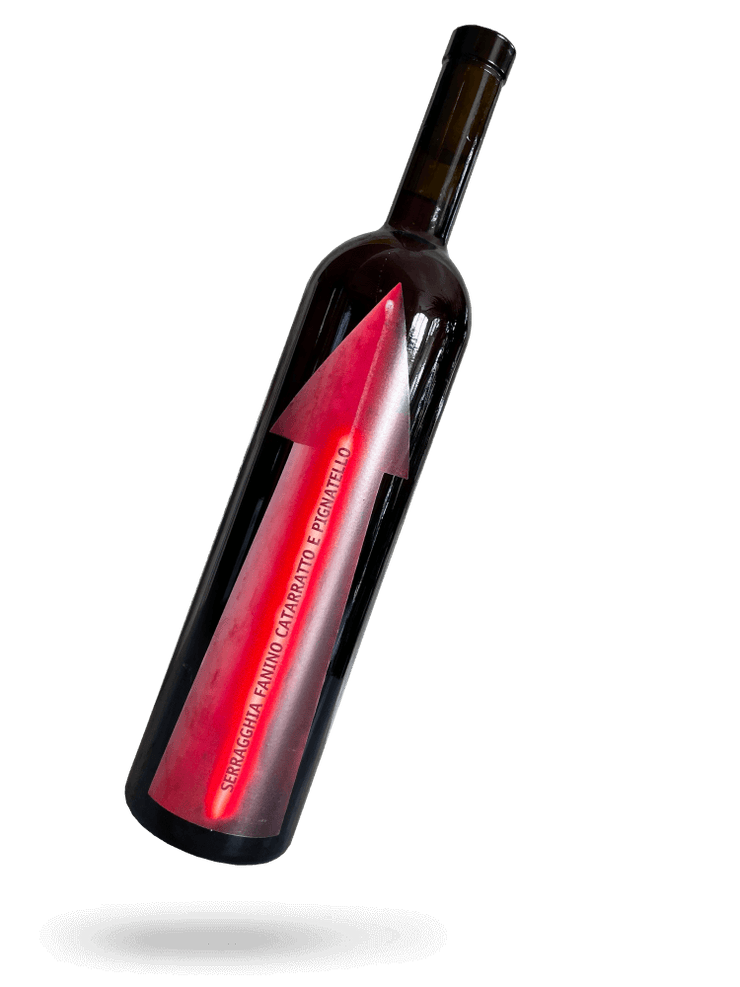 Seragghia Fanino 2022 Naturwein von Gabrio Bini