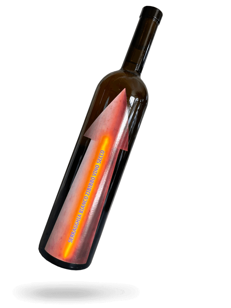 SERRAGGHIA ZIBIBBO 2022, natural wine - Gabrio Bini | Drops