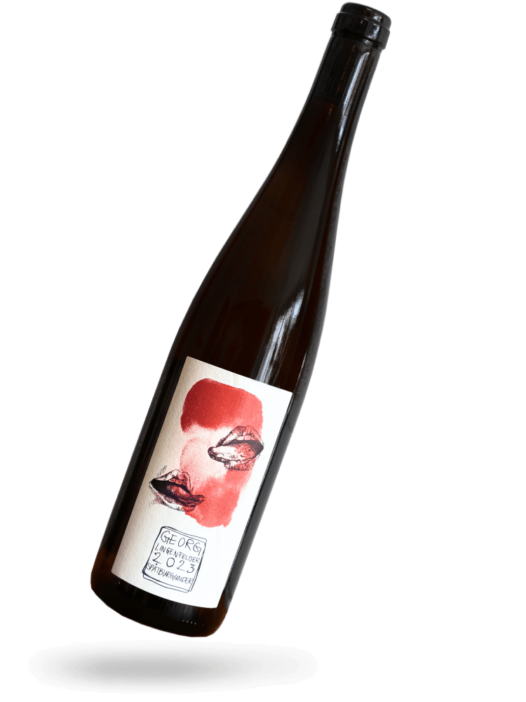 Spätburgunder 2023 Naturwein von Georg Lingenfelder