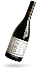 Super B 2022 Naturwein von Patrick Bouju Domaine La Boheme
