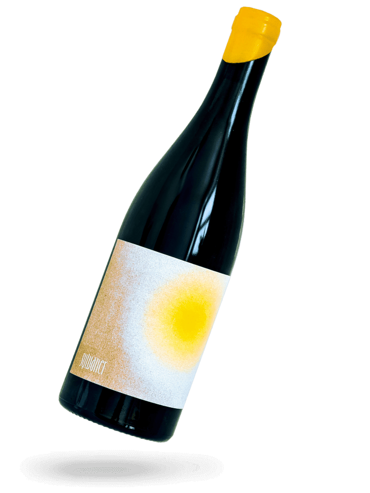 Sylvaner 2023 Naturwein von Jens Currlin