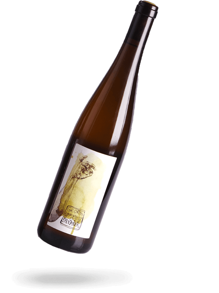 Sylvaner 2022 Naturwein von georg Lingenfelder