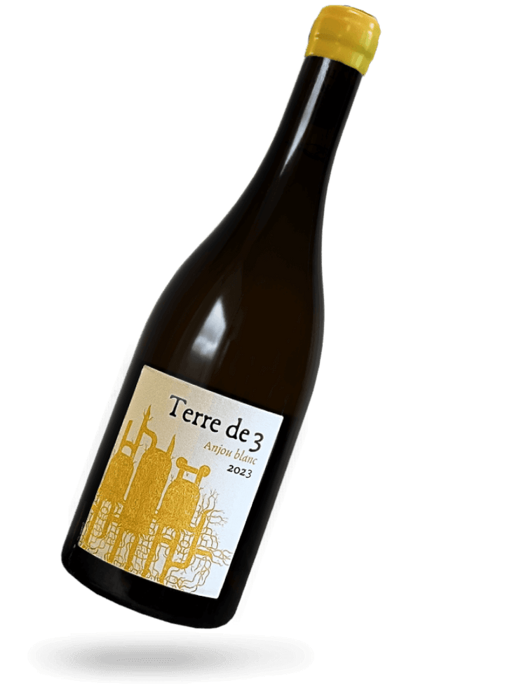 Terre de 3 2023 Naturwein von Terra Vita Vinum