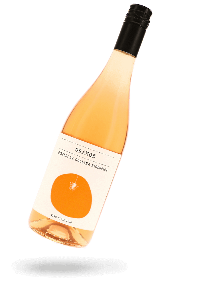 Trebbiano orange 2022 Naturwein von Cirelli aus Abruzzen