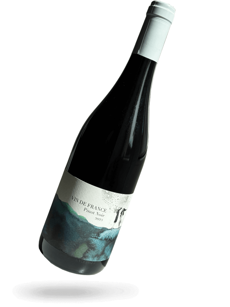 Vin de France Pinot Noir 2023 Naturwein von Domaine Didon