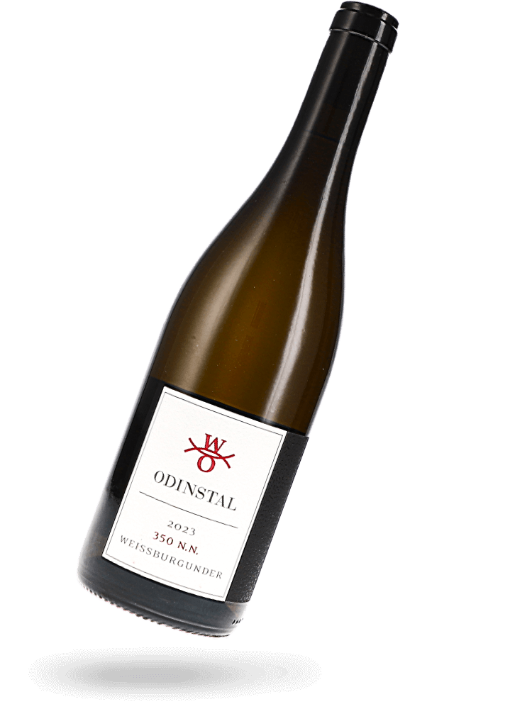 Weissburgunder 350 nn 2023 Naturwein von Odinstal