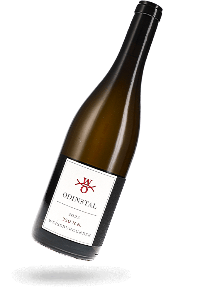 Weissburgunder 350 nn 2023 Naturwein von Odinstal