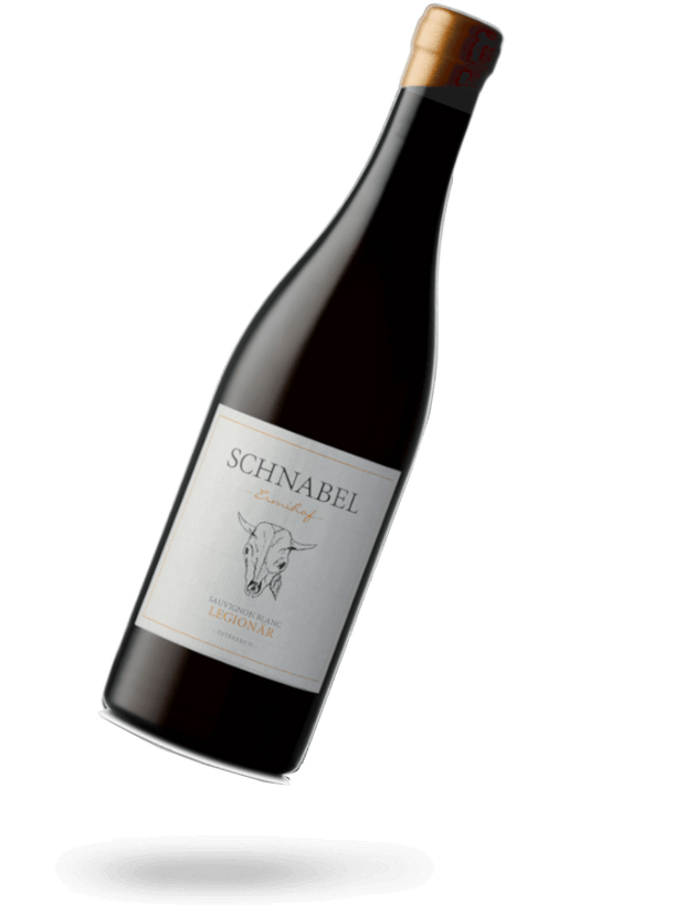 Karl Schnabel Legionär Sauvignon Blanc 2021 Naturwein